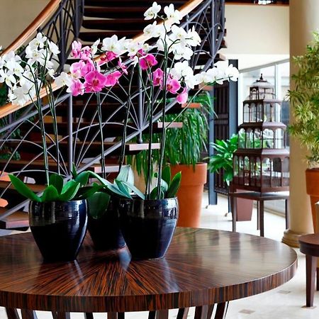 Cinar Hotel Istanbul Bagian luar foto