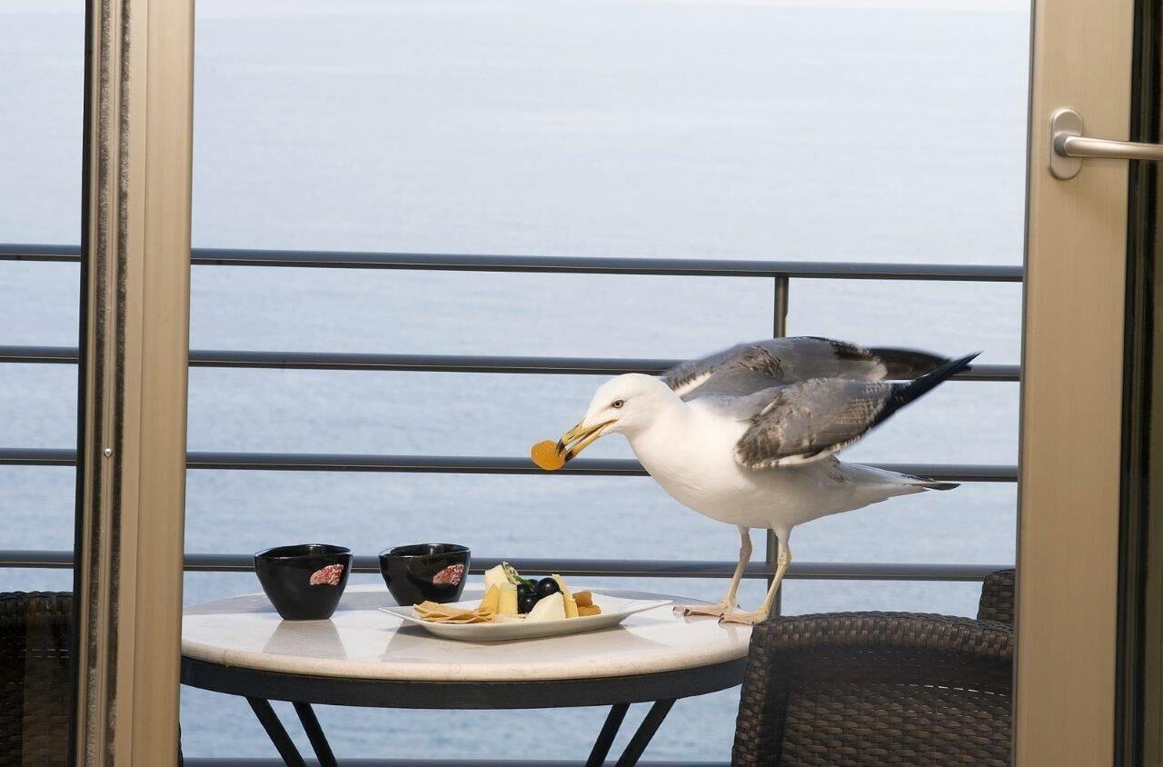 Cinar Hotel Istanbul Bagian luar foto