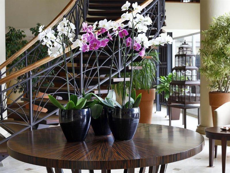 Cinar Hotel Istanbul Bagian luar foto