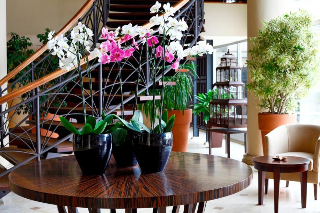 Cinar Hotel Istanbul Bagian luar foto